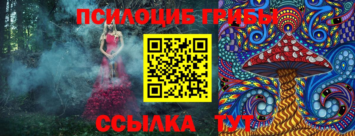 Тутаев  цена наркотик  Галлюциногенные грибы MAGIC MUSHROOMS  Вход с VPN  Галлюциногенные грибы GOLDEN TEACHER 